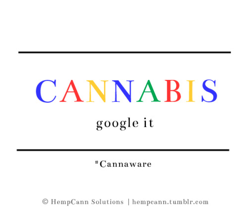 Google and Cannabis: Search and ye shall find
