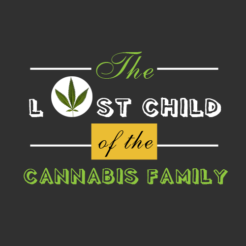 The controversial ‘lost child’ of the cannabis family